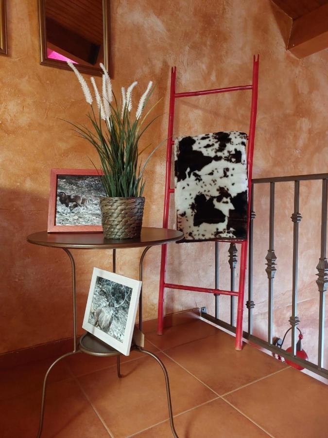 El Atico De Mijares Guest House Eksteriør bilde